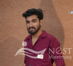 Tom K Chacko